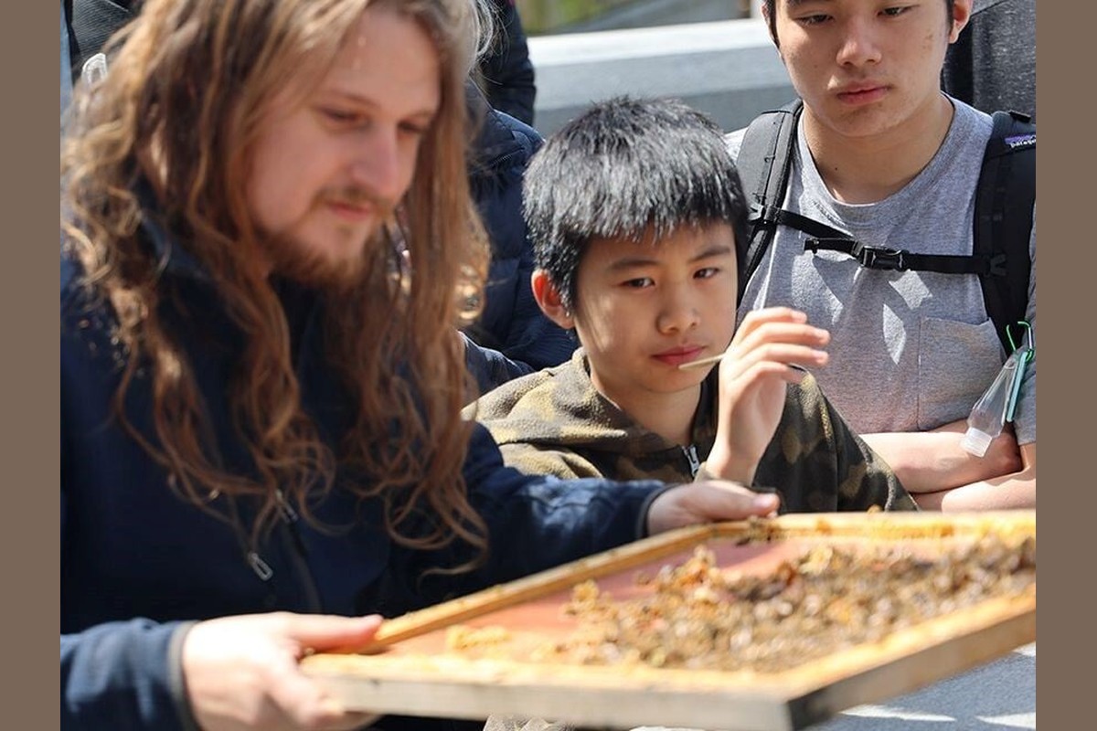 Meet the Beekeeper