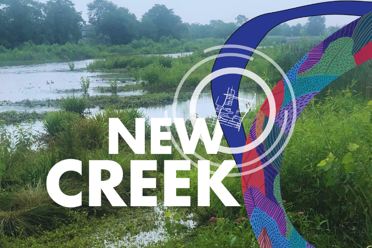 Walking the Bluebelt... an exclusive tour of New York City's largest storm water management system
