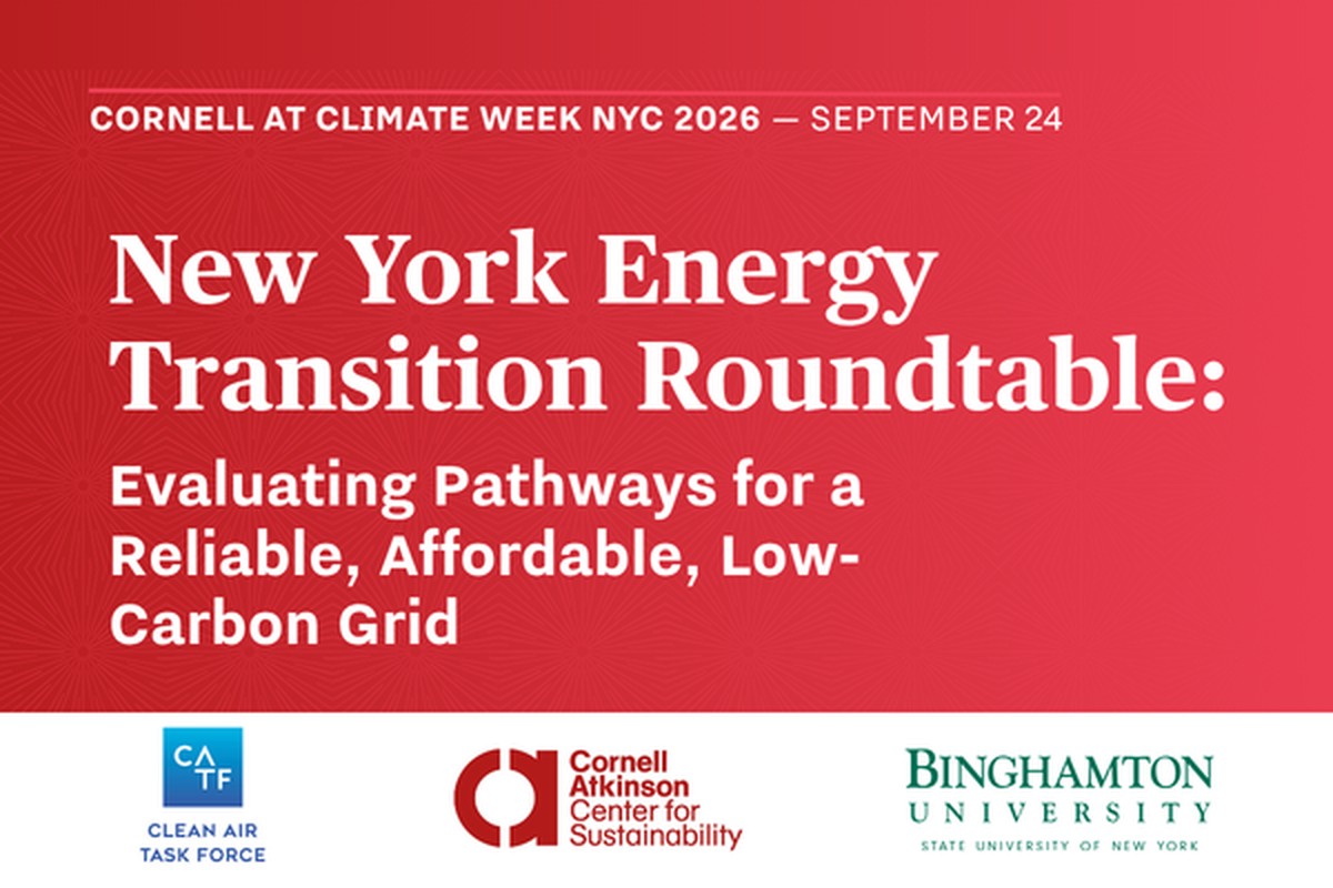 New York Energy Transition Roundtable: Evaluating Pathways for a Reliable, Affordable, Low-Carbon Grid