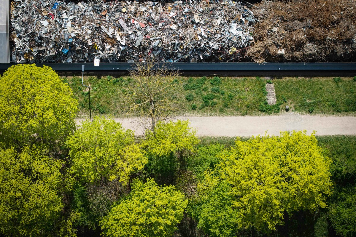 Women in Waste: Turning Trash into Opportunity