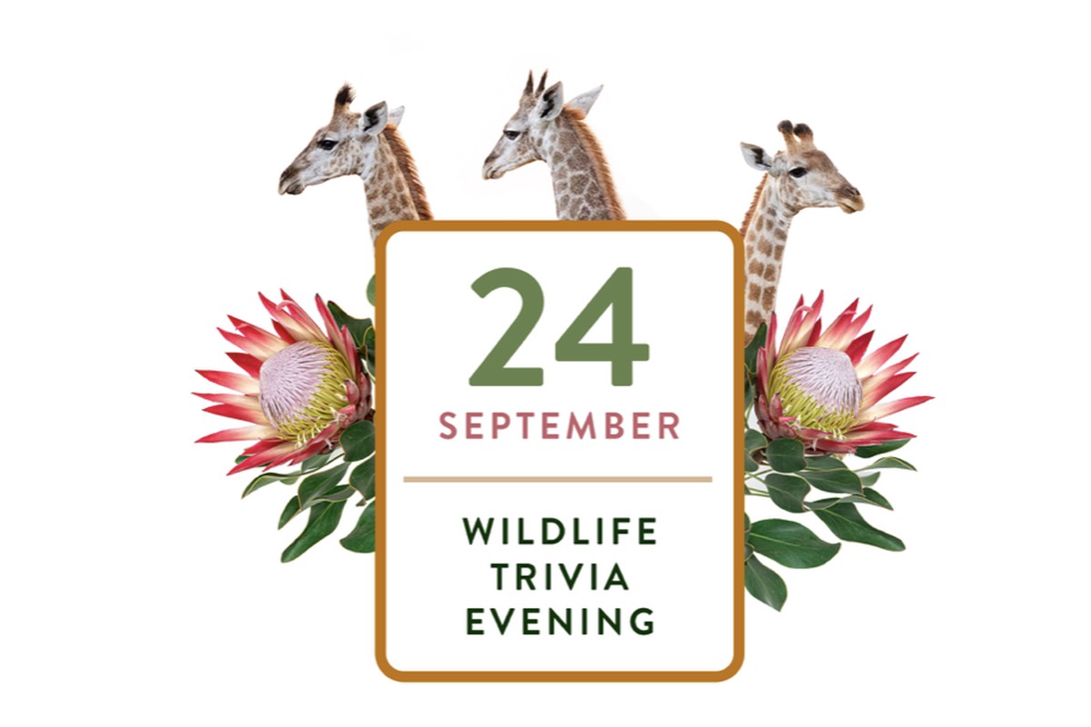 Wildlife Trivia with Wild Tomorrow