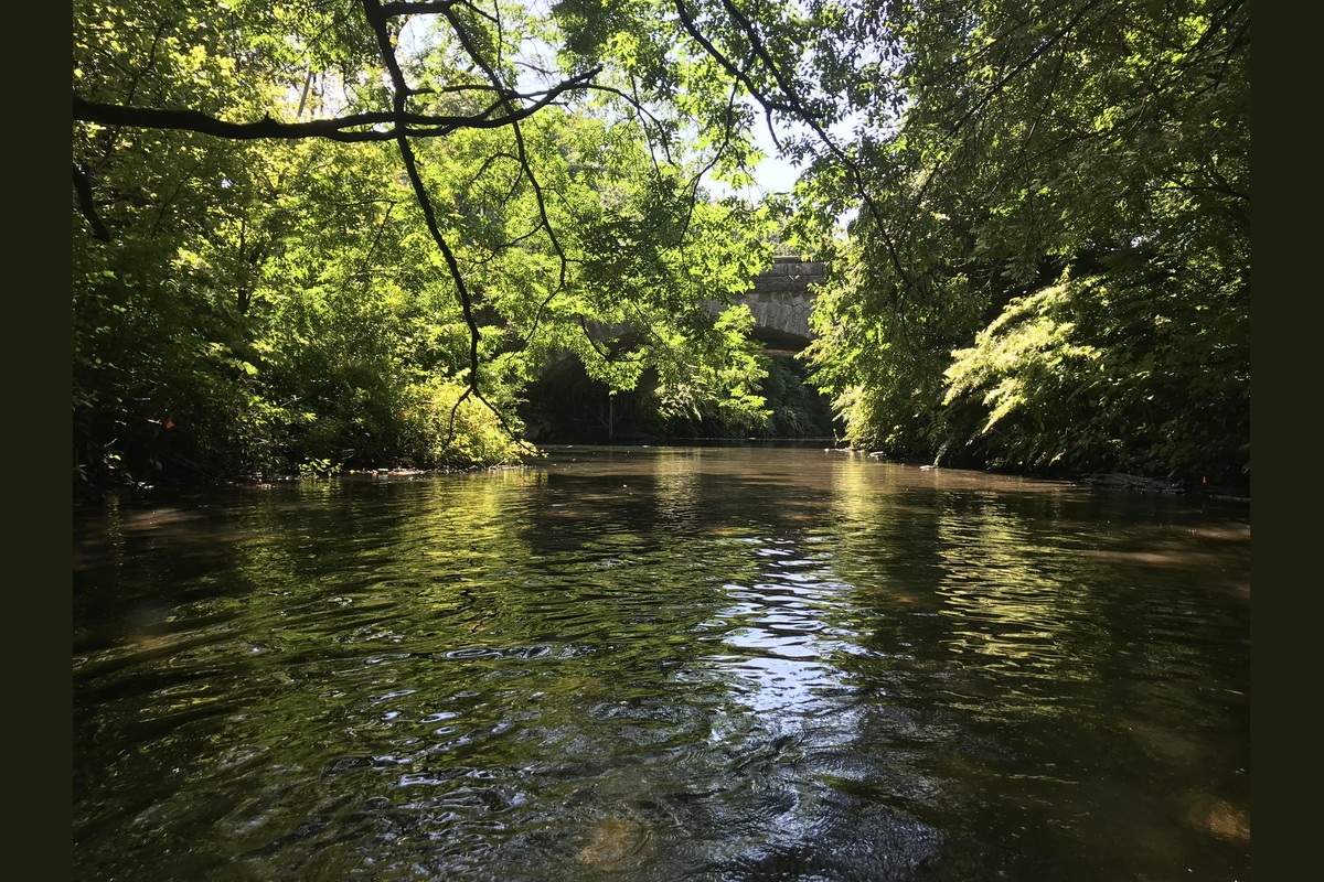 Climate Week NYC Documentary Screening: River Restoration & Climate Resilience