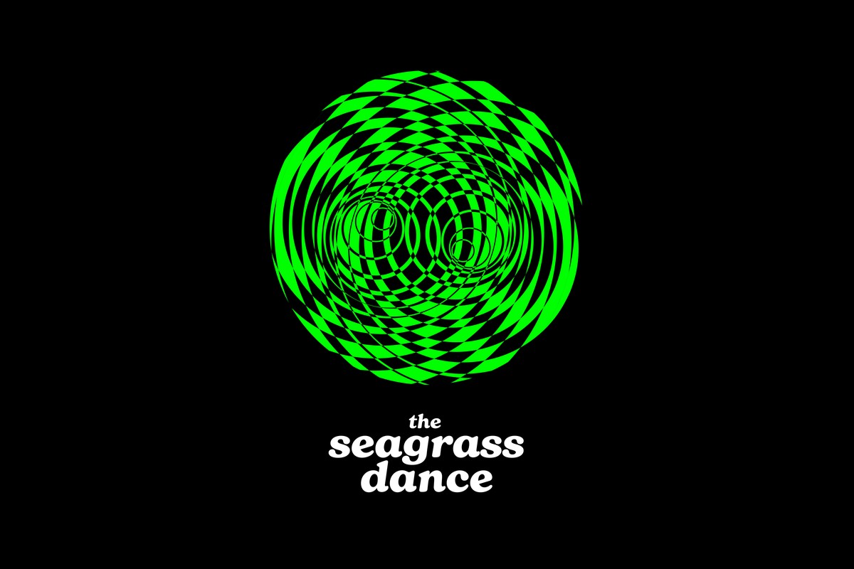 The seagrass dance: A Film by Kayla Weisdorf