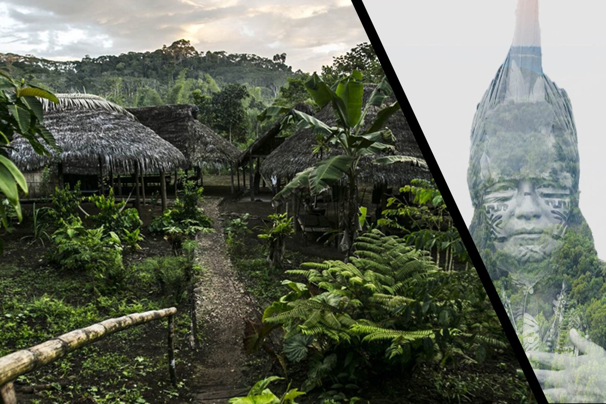 Wisdom from the Forest, the Mountain, and the Sea
