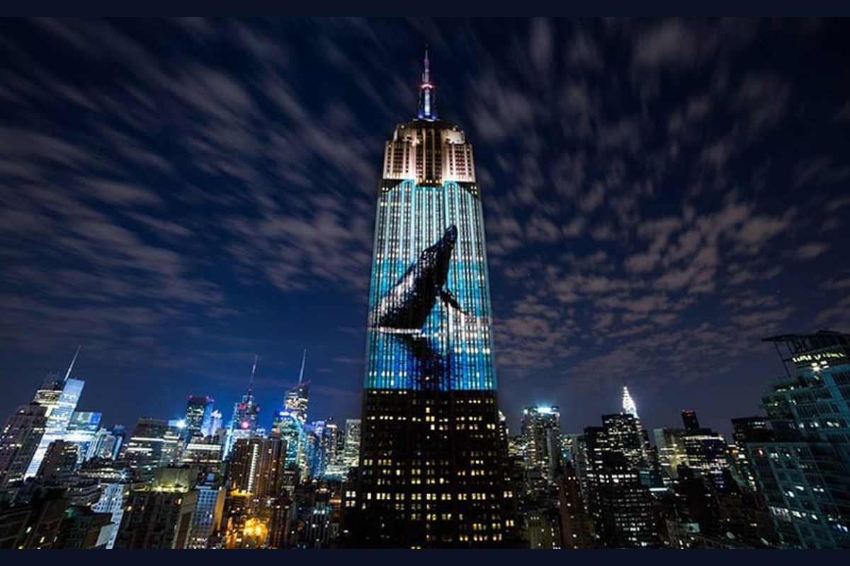 Endangered New York: Protecting Wild Animals in a Changing Climate 