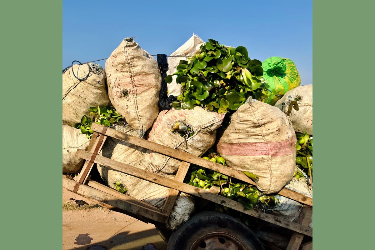 Resilient Food Systems at the Nexus of Climate, Nature, and Conflict