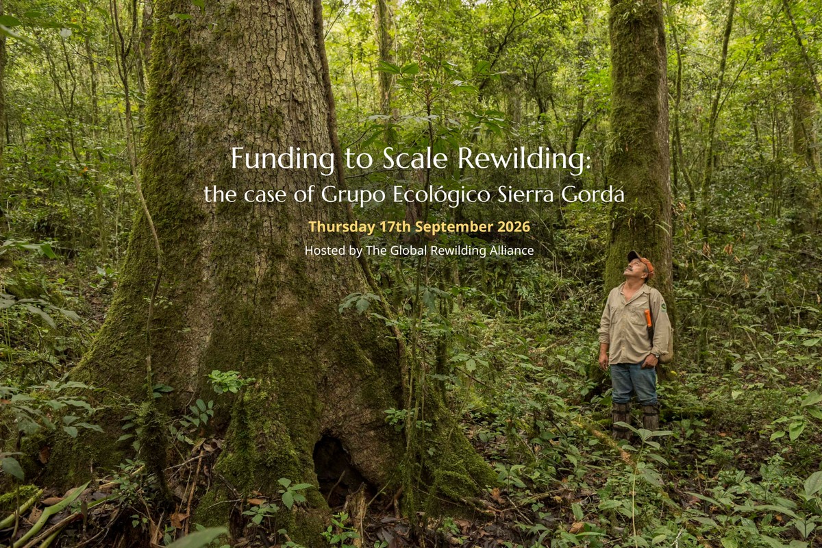 Funding to Scale Rewilding: the case of Grupo Ecológico Sierra Gorda in Mexico