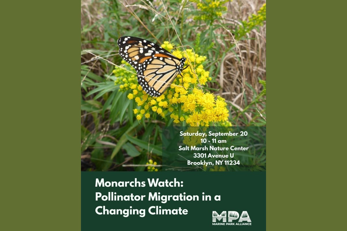 Monarchs Watch: Pollinator Migration in a Changing Climate