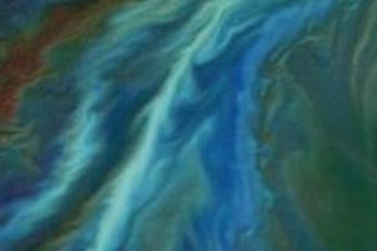 The Potential Role of the Biodiversity Beyond National Jurisdiction Treaty in Governing Marine Carbon Dioxide Removal