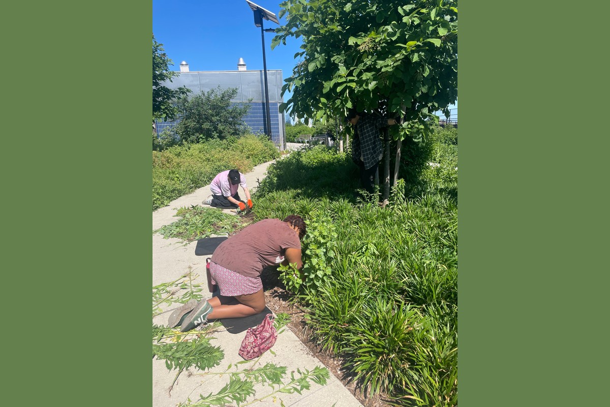 Climate Week: Stewardship at East River Park