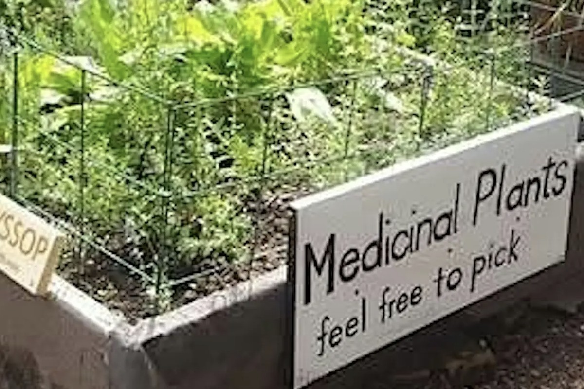 Medicinal Garden Workshop
