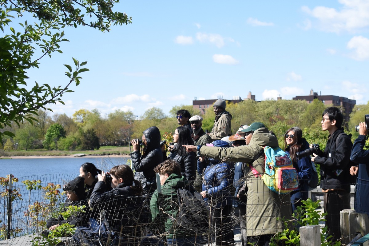 Climate Week: Birdwalk at Marine Park