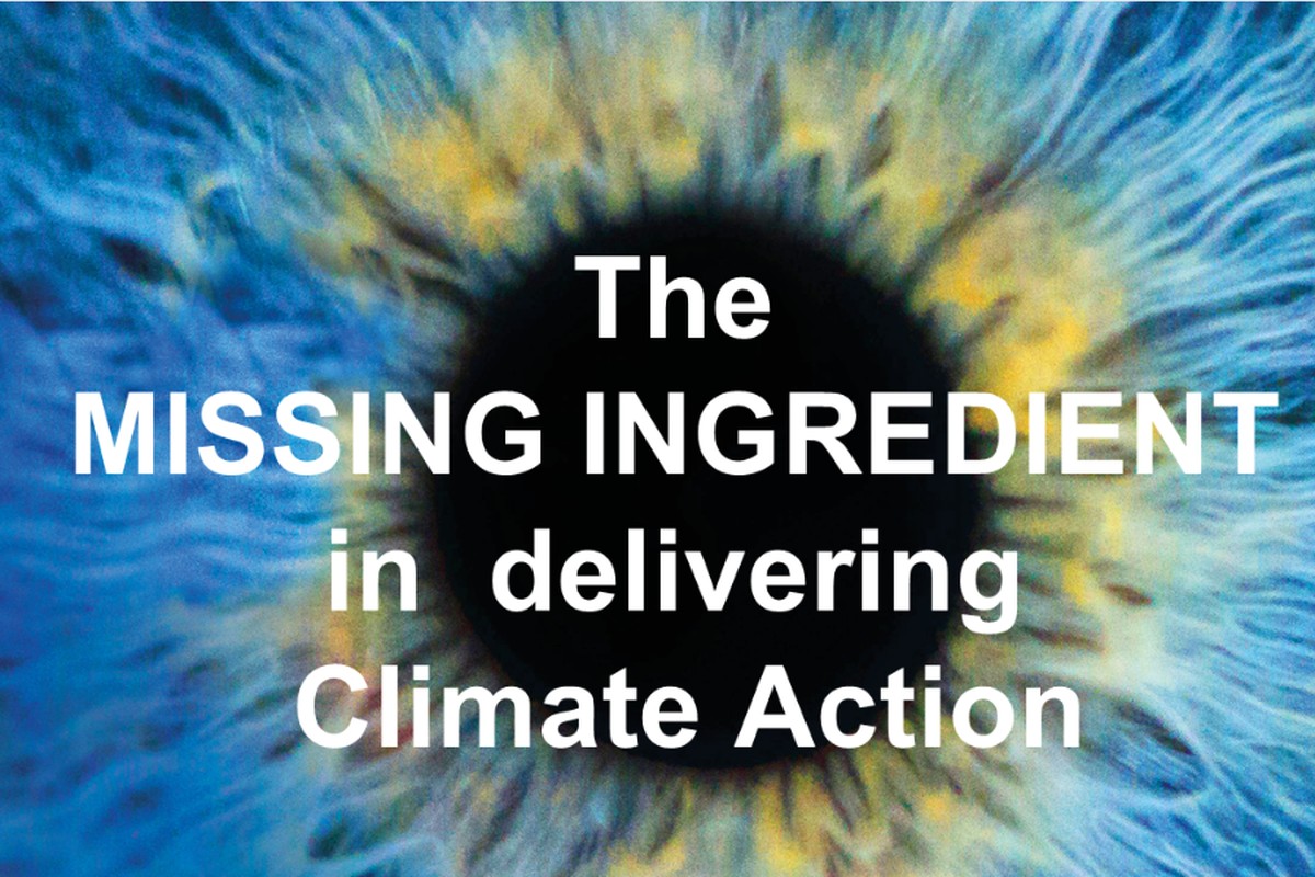 The Missing ingredient in delivering Climate Action - The Courage Toolkit