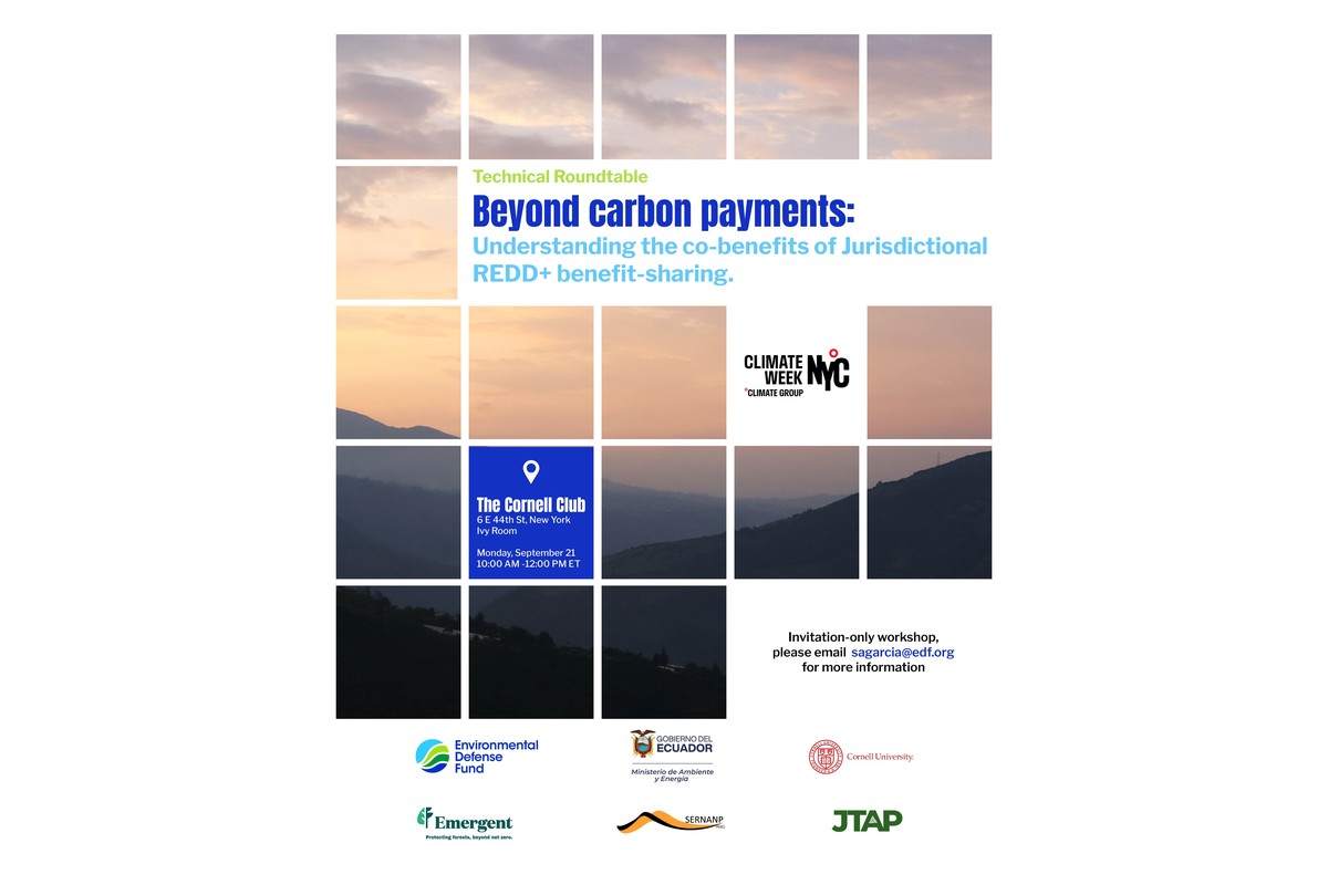 Beyond Carbon Payments: Understanding the Co-benefits of Jurisdictional REDD+ Benefit-sharing