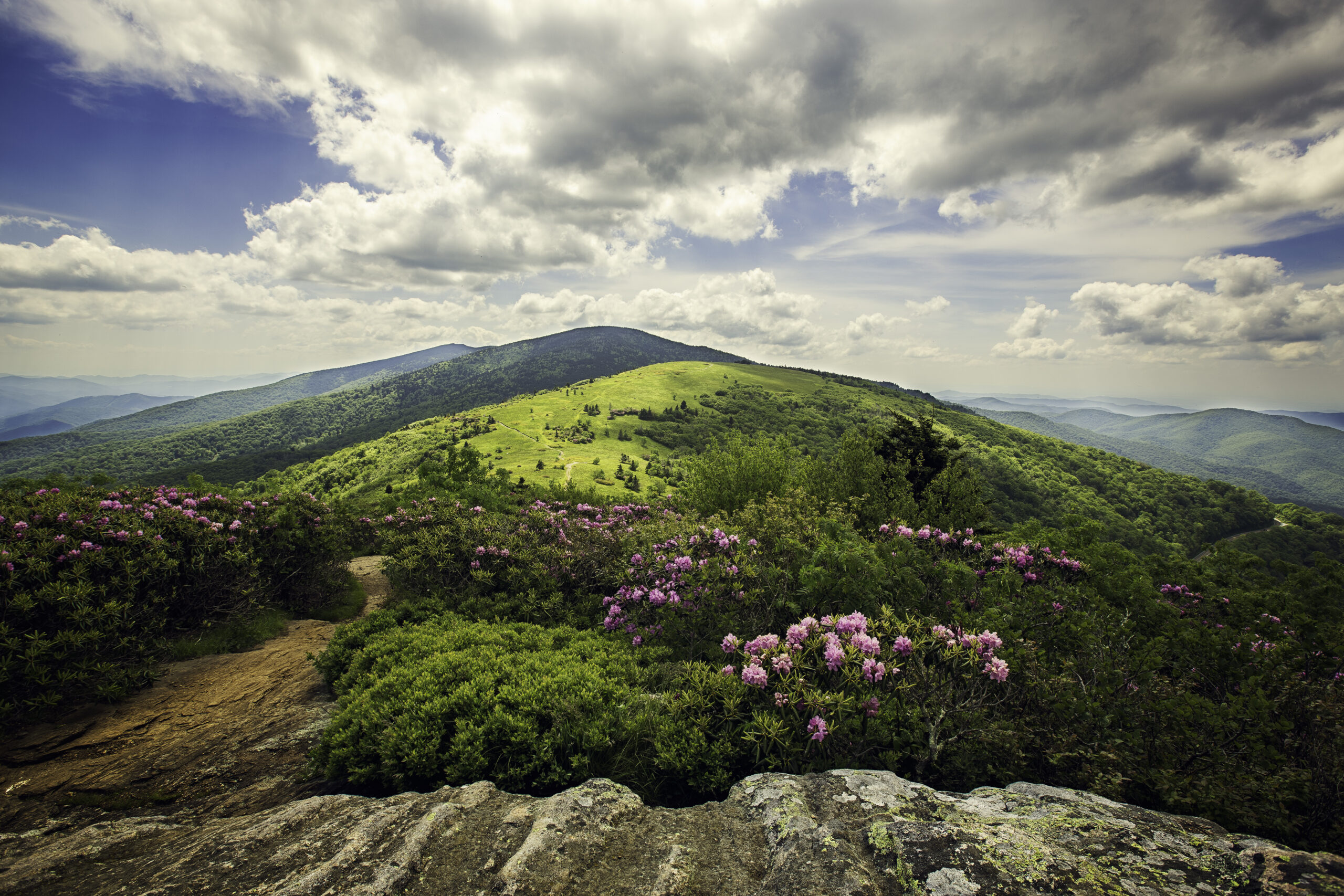 Over, Under, and Through: Wildlife Connectivity and Resilience in Appalachia
