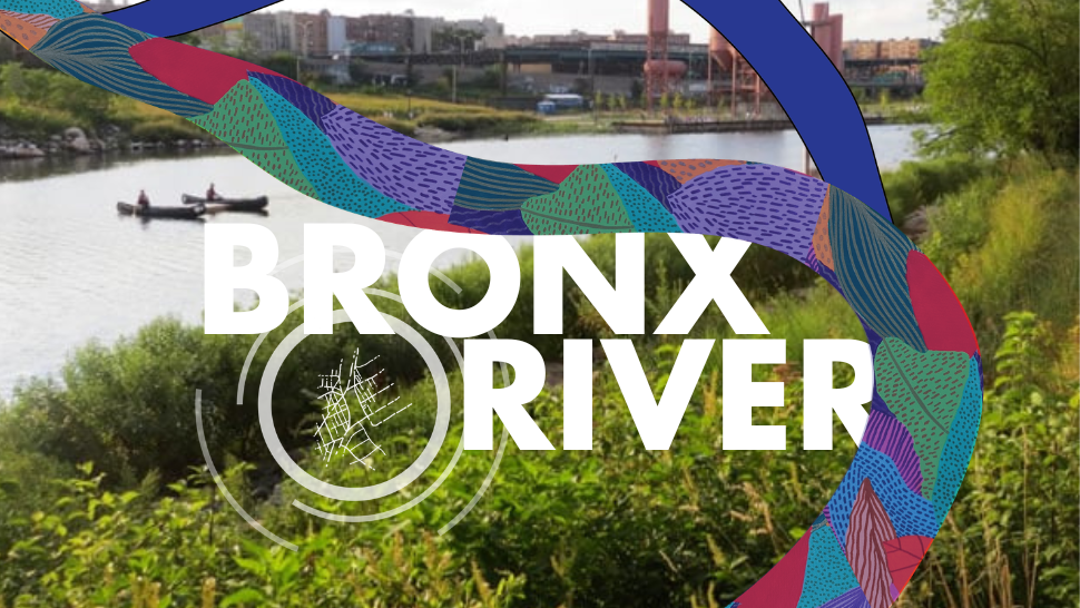 Cultivating Abundance on the Bronx River with Foragers in the Foodway and La Bruja