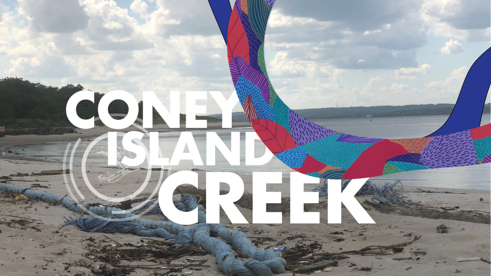   Sand Study Stewardship & International Coastal Clean-up Dance Party in Coney Island Creek
