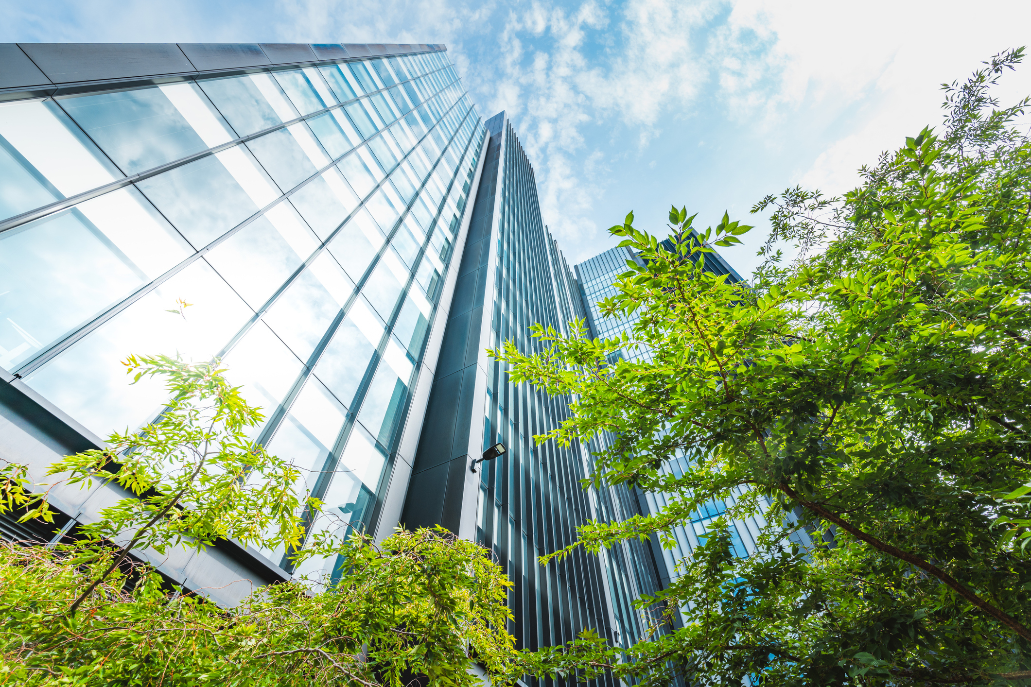 Navigating the New Rules on Environmental Marketing: Perspectives from the U.S. and the E.U.