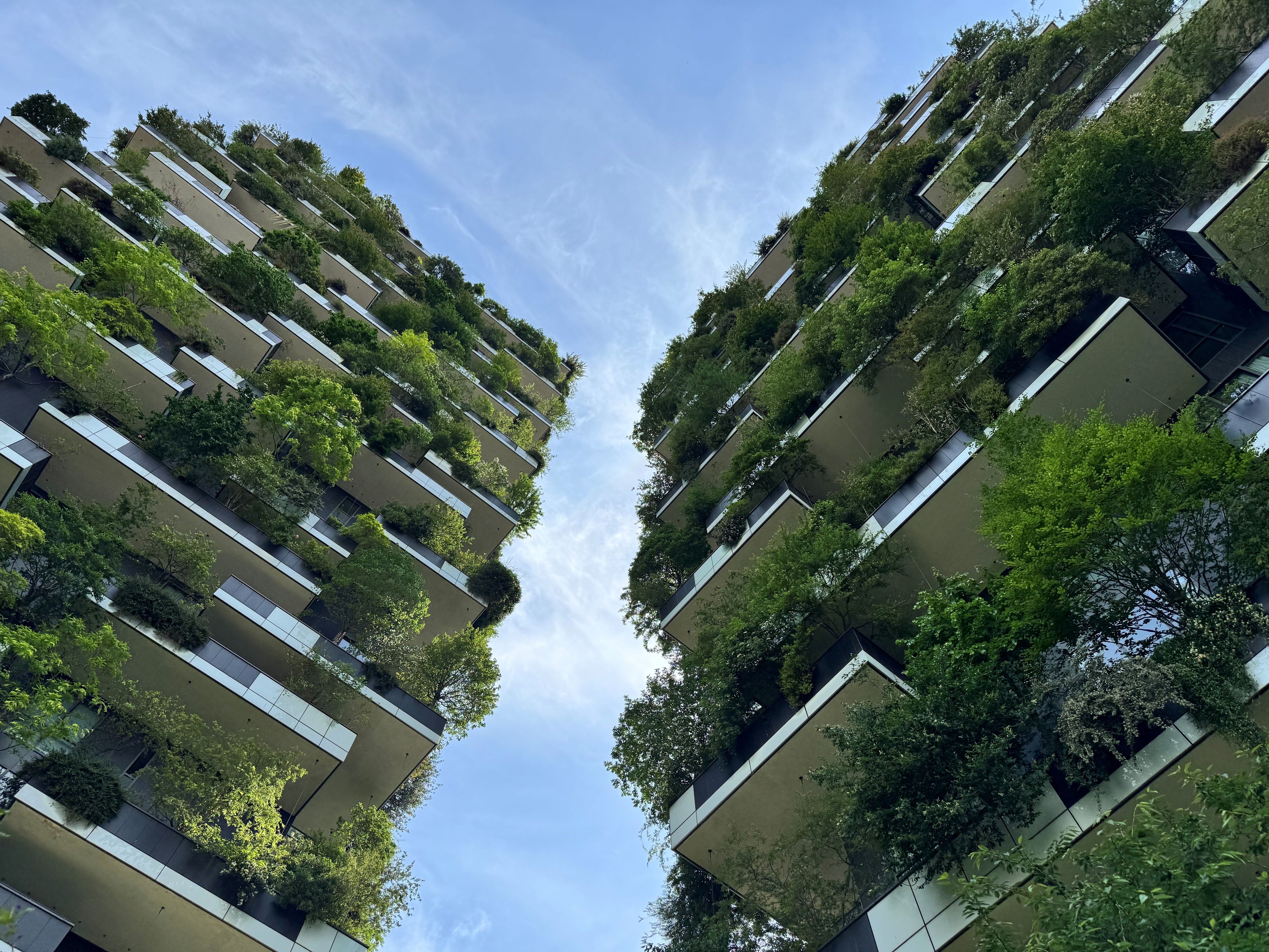 Navigating the New Rules on Environmental Marketing: Perspectives from the U.S. and the E.U.