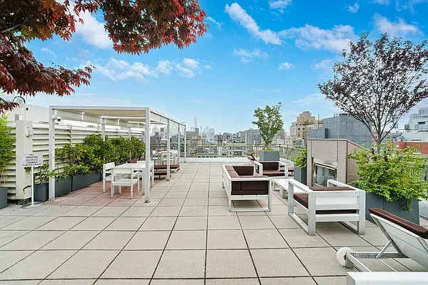 Grow More, Water Less Rooftop Experience