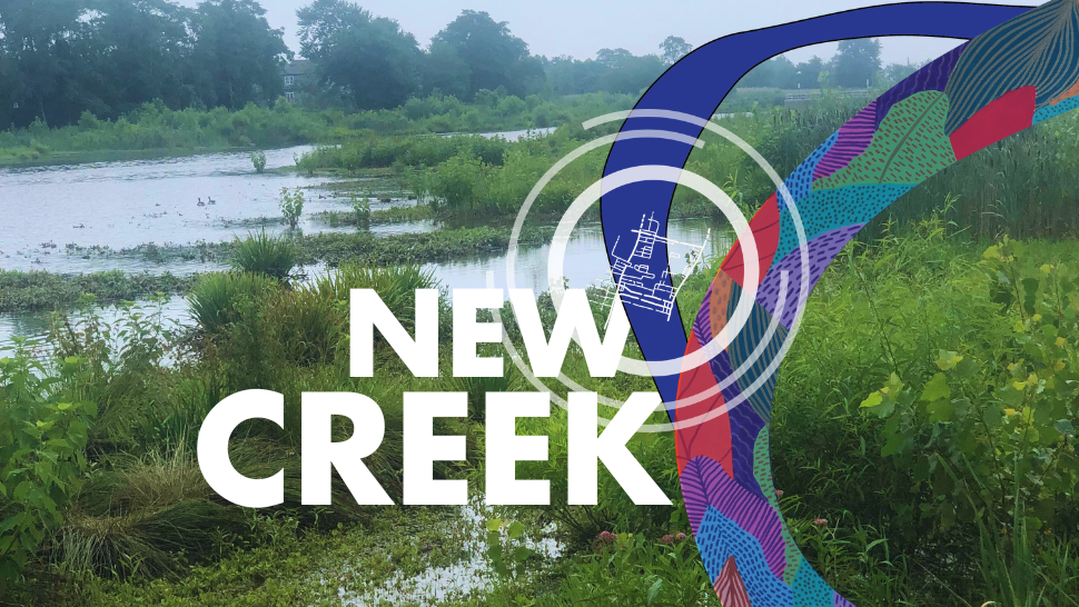 Walking the Bluebelt... an exclusive tour of New York City's largest storm water management system