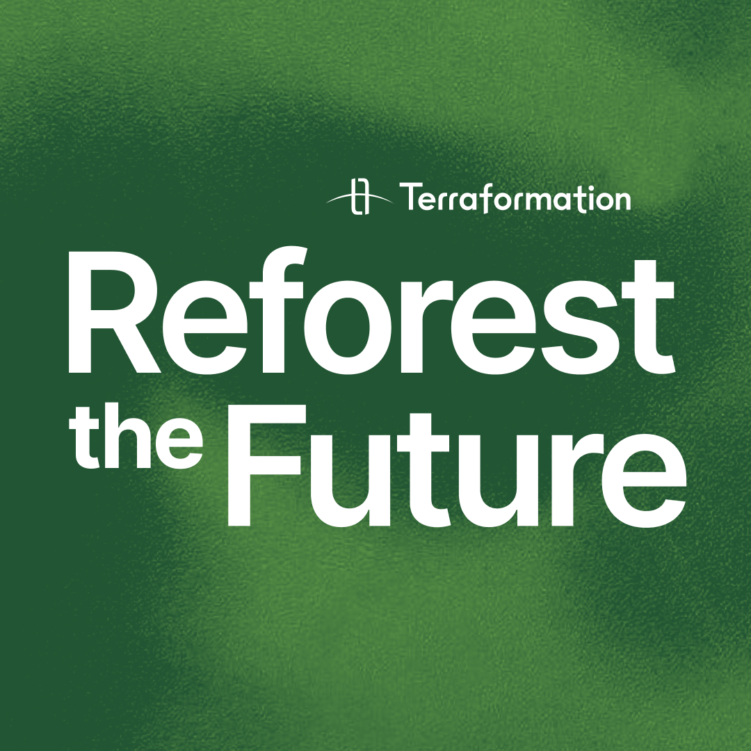 Reforest the Future Summit