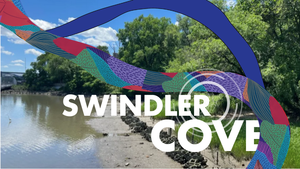 Come to the Cove! Celebrating the hidden wetland and woods along the Harlem River