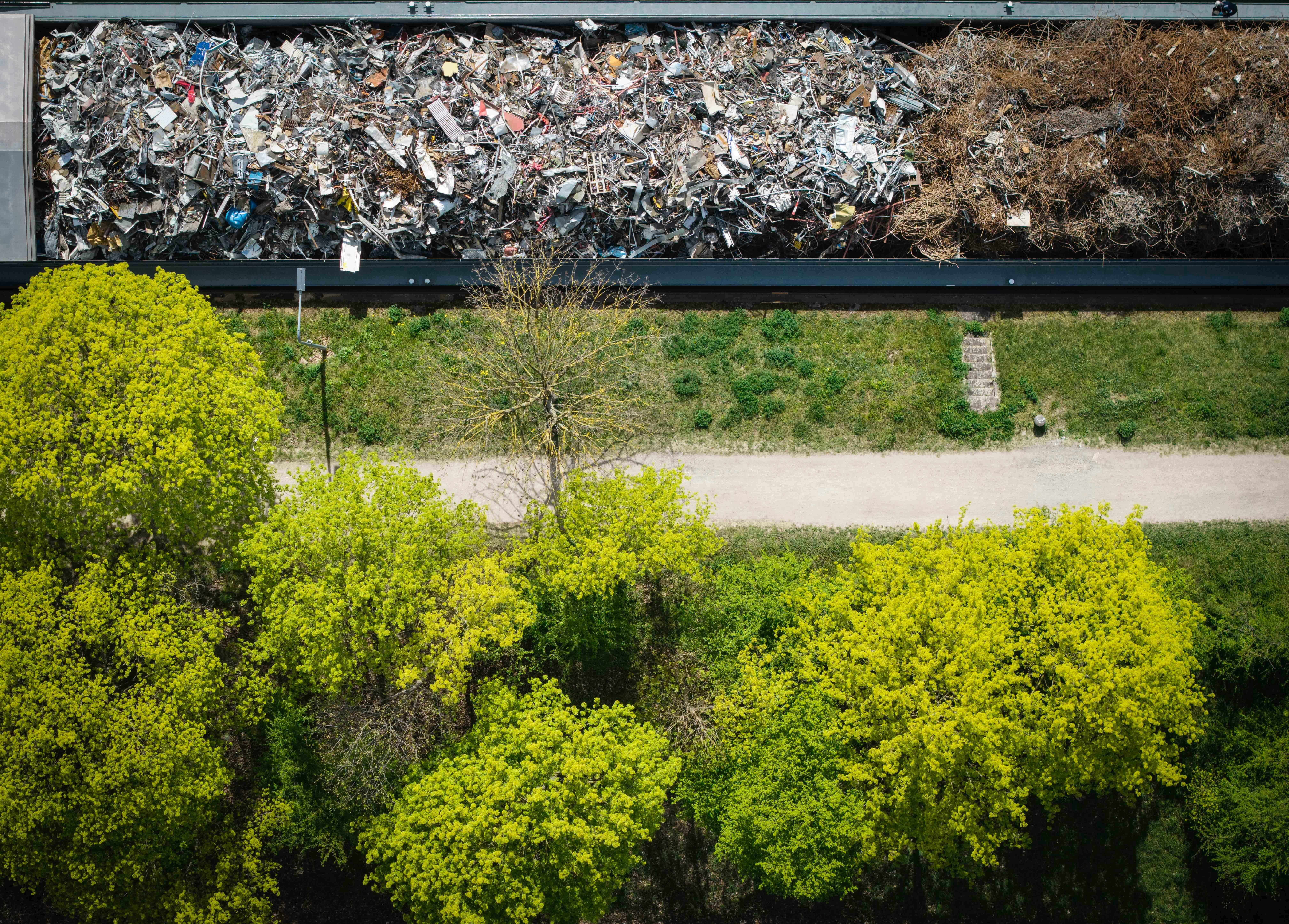 Women in Waste: Turning Trash into Opportunity