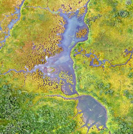 Aerial view of a mangrove forest in the Saloum Delta National Park, Senegal. Mangroves provide societal benefits while also preserving ecosystems and storing carbon