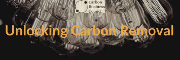 Unlocking Carbon Removal