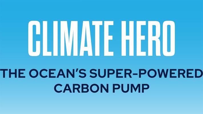 Climate Hero: The ocean’s super-powered carbon pump
