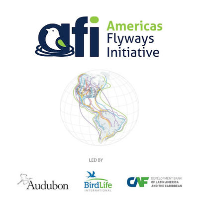 Discovering the Americas Flyways Initiative