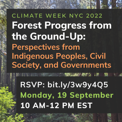 Forest Progress from the Ground Up: Perspectives from Indigenous Peoples, civil society, and governments