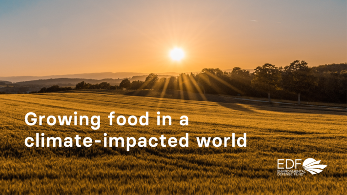 Growing food in a climate-impacted world
