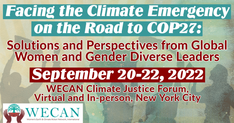 Facing the Climate Emergency on the Road to COP27: Solutions and Perspectives from Global Women and Gender Diverse Leaders