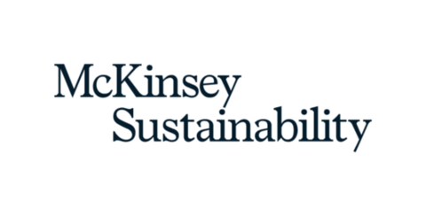 McKinsey Sustainability.png