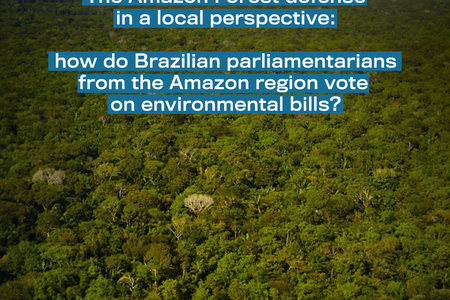 The Amazon Forest defense in a local perspective: how do Brazilian parliamentarians from the Amazon region vote on environmental bills?