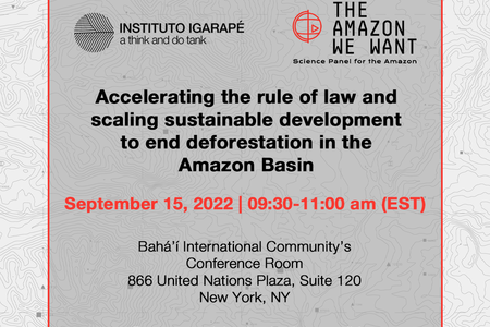 Accelerating the rule of law and scaling sustainable development to end deforestation in the Amazon Basin